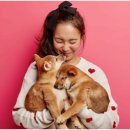 좋은말동물병원 이미지