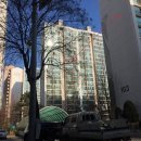 성남대로171번길 이미지