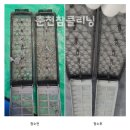 세경크리닝 이미지