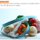 이브올루션 이미지