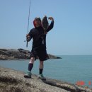 자연산바다 이미지