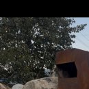 팔영미라클 이미지