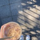 이젠피트 | 피트라인 리스토레이트 효능 내돈내산 후기