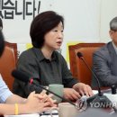 심상정 카카오 검색결과