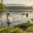 가평행정사 이미지