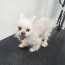 삼산2길 이미지