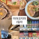 1일족발 | 일본 미야코지마 4박5일 여행 1일차 후기 | 현지 렌트카, 숙소, 돈키호테, 편의점, 이자카야, 소바