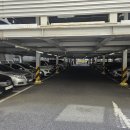 파프리카 짐 이미지