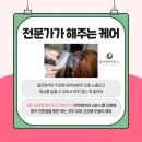 컬러앤하우스 네이버블로그