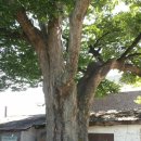 문촌2리 이미지