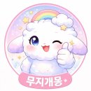 798 | 춘천 삼천동 고기 맛집 “798 삼천동 고깃집” 솔직 후기