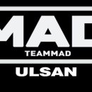팀매드 이미지
