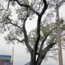 모화2리 이미지