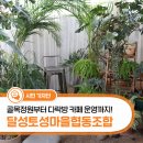 달성토성마을 협동조합 | 주민이 주도하는 마을활동 : 달성토성마을협동조합