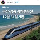 부산-강릉 동해 중 부선 12월 31일 개통 이미지