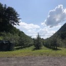 광치농장 이미지