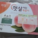 맛나농원 | 달구나농원 :: 복숭아택배 성공후기, 황도복숭아 추천