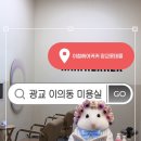 수원 광교미용실 | 이철헤어커커 광교롯데몰점 히피펌
