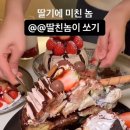 블록스 이미지