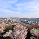 죽도봉 주차장 내 이미지