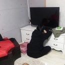 솔마루 민박 이미지