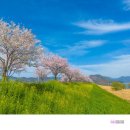 강변공원 이미지