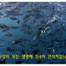 휴먼플래닛 이미지