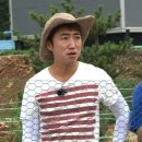 에코스케치