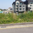 제주공감공인중개사사무소 이미지