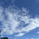 무인합기도 | 가장 살고 싶은 도시 1위 프랑스 안시[Annecy] (짐 보관소 위치 및 안시 당일치기 후기 및 일정 공유)