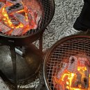 새석장 | 합천 H 글램핑에서 즐긴 힐링 여행! 불멍부터 귀여운 고양이까지🐈 (내돈내산)