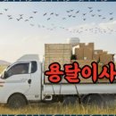 대전용달 | 대전용달 편리하고 신속한 대전 용달이사 후기