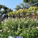 구목정공원 이미지