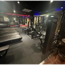 데일리피티 이미지