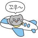 쌤순 이미지