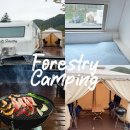 포레스트리 | 원주 글램핑 카라반 포레스트리 후기