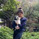 서현펫# 이미지