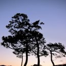 예당레이크하우스 이미지