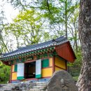 샘터목장 | 한반도의 등줄기 위를 성큼성큼 걷는다, 초록 융단과 야생화 천국을 지나 하늘까지