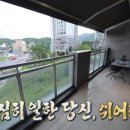 내가 품은 Dog 이미지