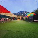 더블링독 이미지