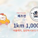 하남펫택시 이미지