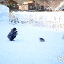 알프스마을 이미지