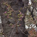 하나린유치원 이미지