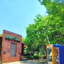 하천섬(솔밭) 이미지