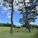 신한L타워 | 강원도 오크밸리 리조트 수영장 l 할인 가격 주말 입장 일요일 웨이팅 시간 ㅣ 꿀팁
