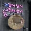 여수 스테이멍 애견펜션 이미지