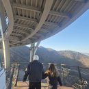 5725 | 단양 만천하 스카이워크 솔직후기｜높이·주차·소요시간 비용 정리 고소공포증 주의