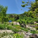 신명<b>누리</b>????<b>숲</b>어린이들 <b>숲</b>일기