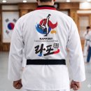 강산 태권도장 네이버블로그